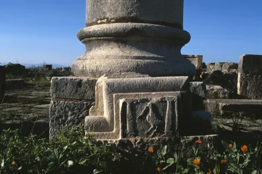 Base de columna y elemento arquitectónico con una cigüeña